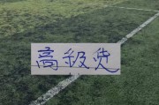 熊猫体育官方入口-中超前15轮 各队代表球星！|阿马杜|上海海港|成都蓉城足球俱乐部|上海申花足球俱乐部|大连英博_新浪体育_新浪新闻